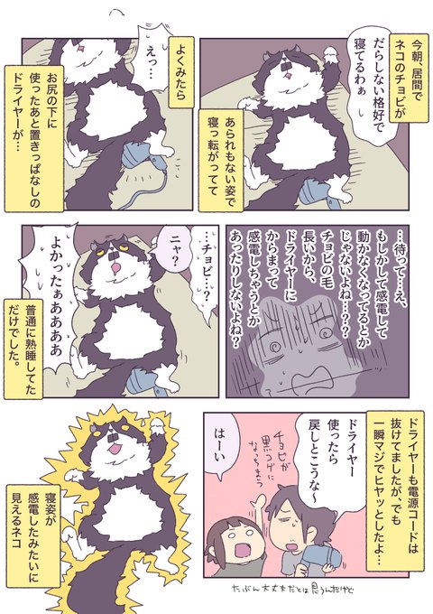 あやたろす@ニンドリ連載中(@ayataross) さんのマンガ一覧 : いいね順