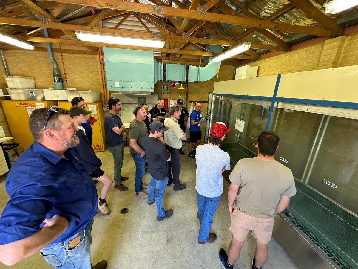 Roberto Busi tweet media