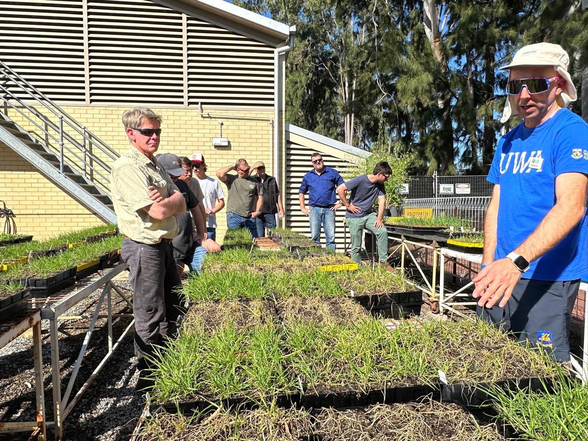 Roberto Busi tweet media
