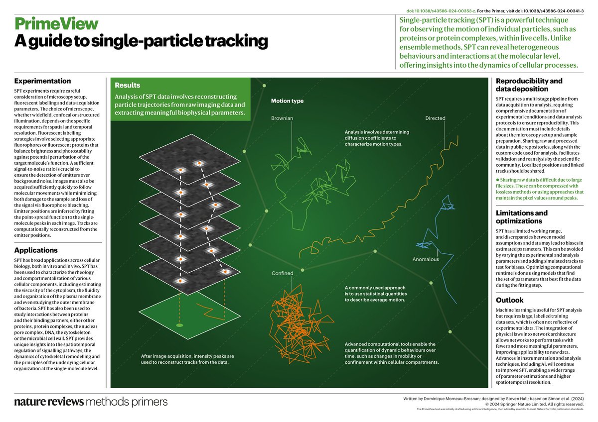 Woohoo!
"A guide to single particle tracking" is now online!
Together with <a href="/Francois__Simon/">François Simon</a> &amp; @S_vanTeeffelen, we share our thoughts on going beyond MSD analysis in Nature Reviews Methods Primers.
doi.org/10.1038/s43586…
Free read link: rdcu.be/dTKHd
