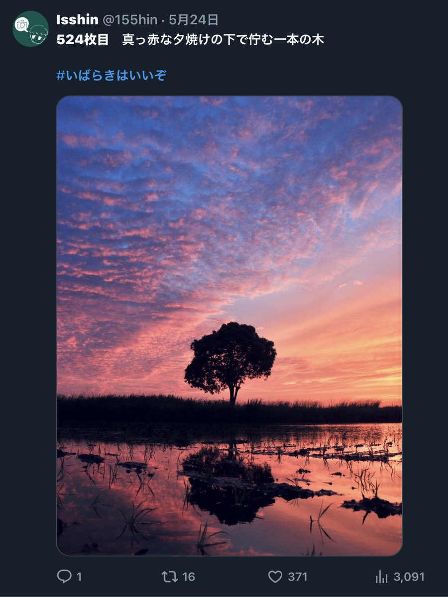 155hin's tweet image. #写真家としての自分の特徴を述べよ

・地元の茨城の風景をめちゃくちゃ撮ってます
・綺麗な風景を撮ってます
・ポジティブな写真、ネガティブな写真、どちらも撮ってます
・思いついた言葉をそのままタイトルにしてます
・綺麗なものだけに拘らず、自由に撮っています
・そんな写真家です。