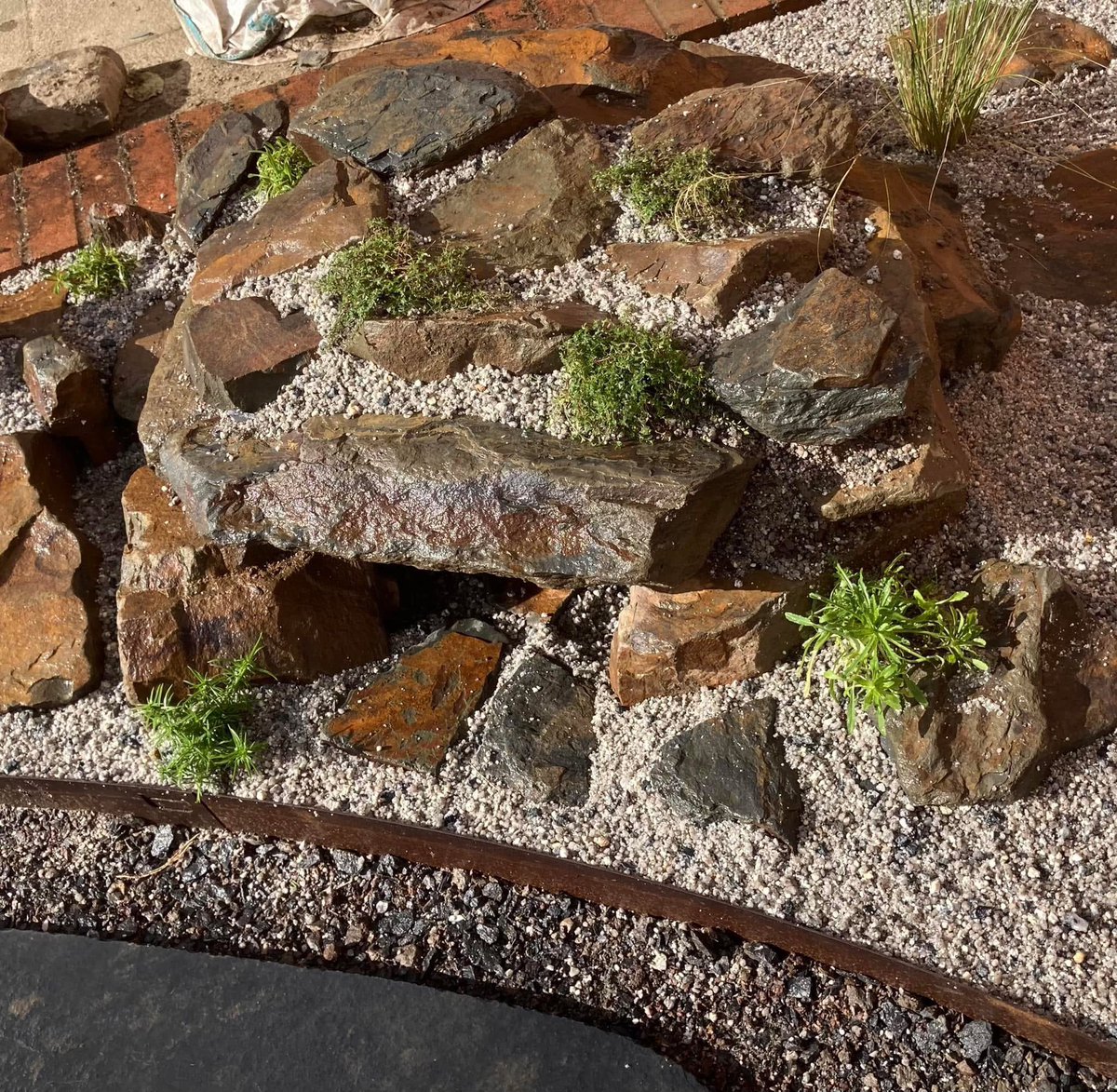 Today I made Toad Hall for a friendly little, ermmm Toad.
A shallow pond cum puddle with an enclosed rear soil area planted up with alpines and finished with crushed granite. 
With Paul's Garden Service
#toadhall #landscapedesign #landscaping #bespoke #alpines