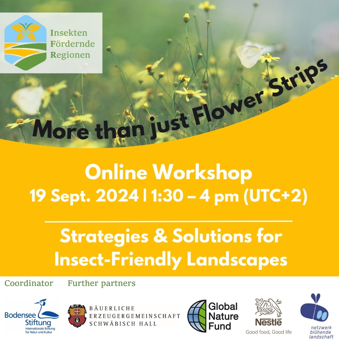 Invitation: Workshop "More than just flower strips! - Experiences and recommendations for more and better insect promotion at landscape level", 19.09.2024 1:30 pm – 4 pm insect-responsible.org/en/more-than-j…
