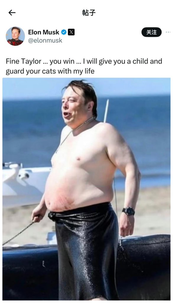 samisisco tweet media