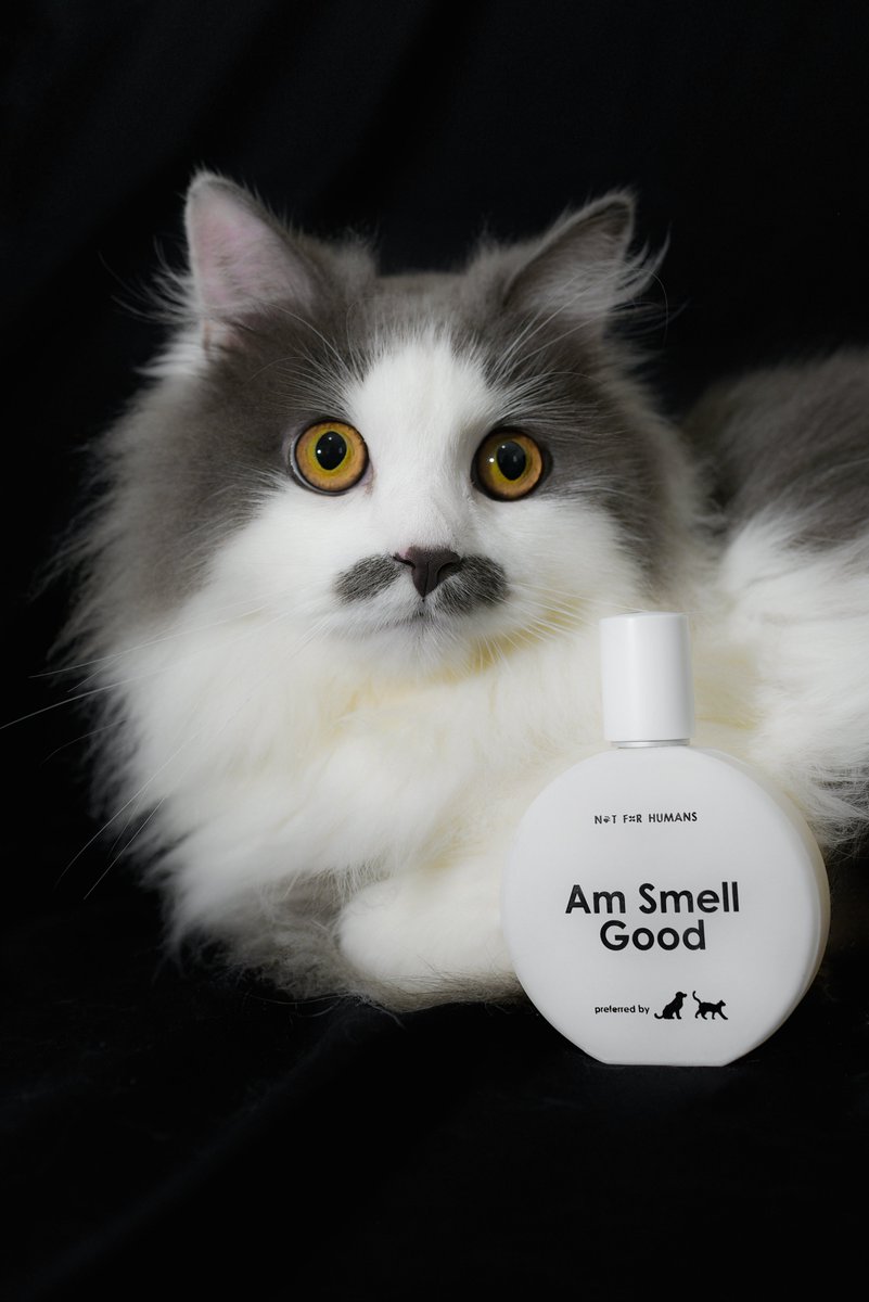 petsfess's tweet photo. Disini ada yang tau ngga @HmnsId luncurin 2 varian parfum tapi bukan untuk hooman 😿⁉️

Yas @notforHMNS untuk kocheng 😻dan doggyy 🐶 kewren !! https://t.co/w4LnB9iivb