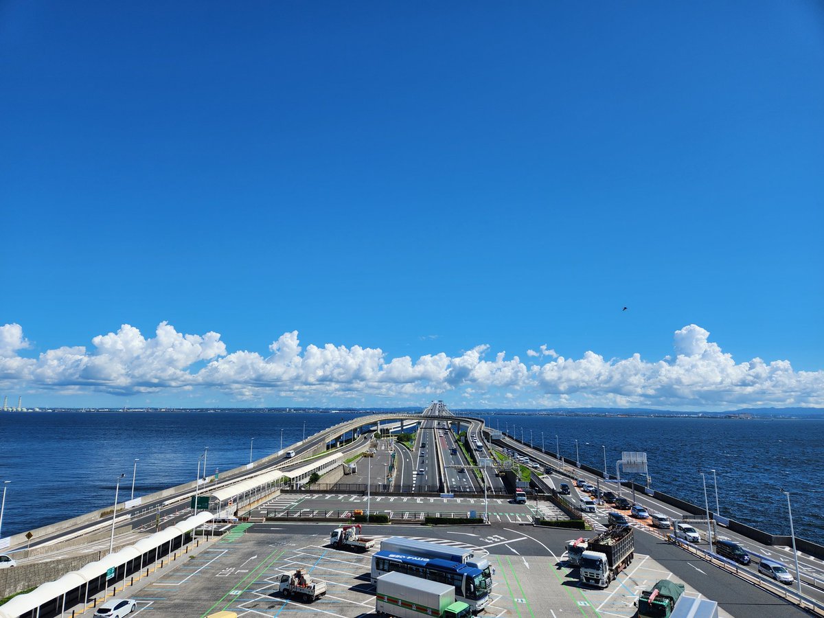 plant-watch tweet media