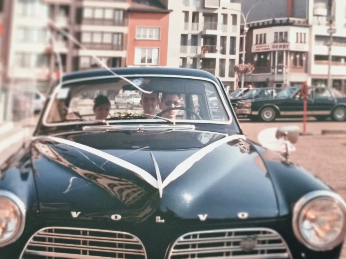 MarijkeBelon1's tweet image. 1999: de bruidswagen en de eerste van een hele dierentuin die nog zou volgen. #Wodan #yorkshireterrier