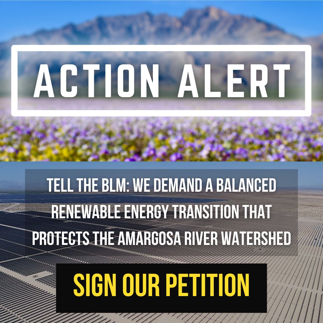 🚨 PETITION IS LIVE! Visit the link in our bio to sign. By signing this petition, you are telling the BLM to change the Final Programmatic Environmental Impact Statement on Western Solar so that it is balanced and protects the Amargosa River Watershed.