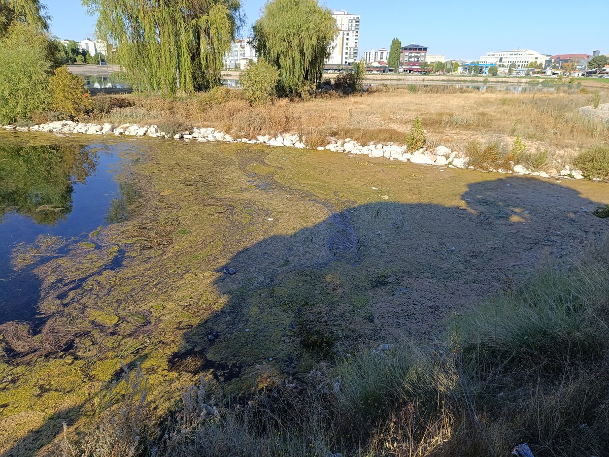 Bu kirlilik neden Elbistan halkını size oy verdiği için cezalandırıyor musunuz