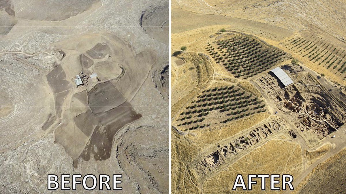 Jimmy Corsetti tweet media