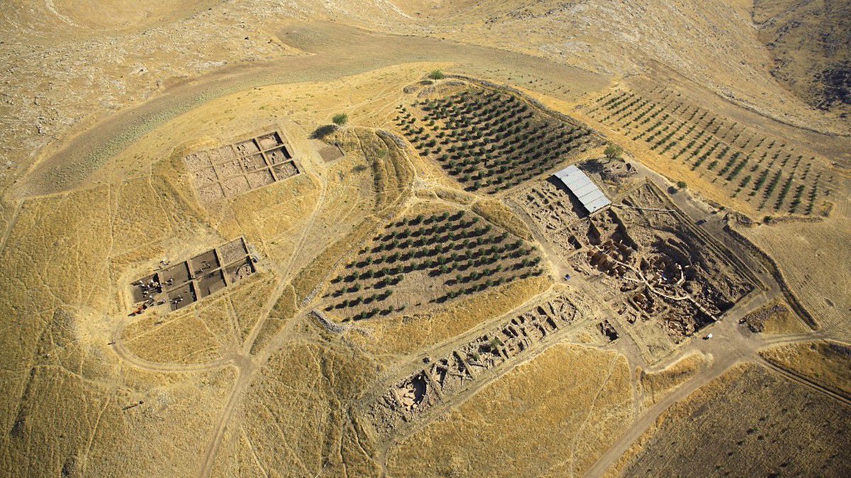 Jimmy Corsetti tweet media