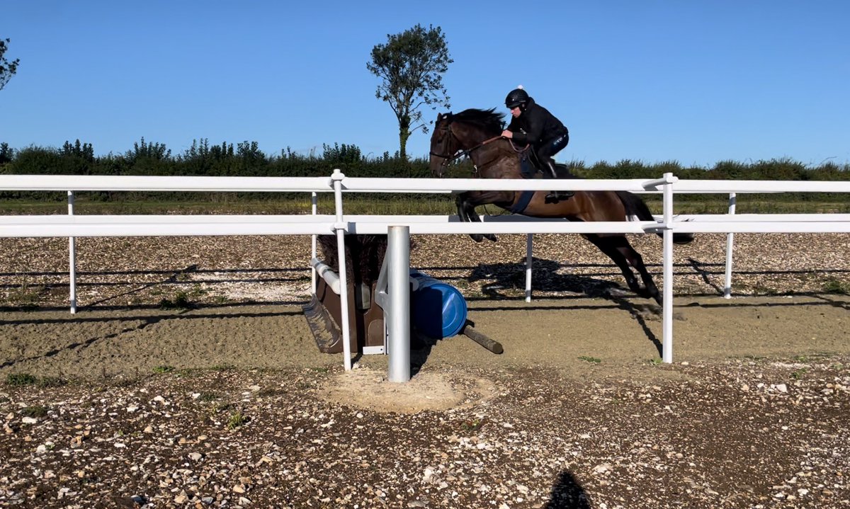 Jamie Snowden (@jamiesnowden) on Twitter photo #CheltenhamFestival #winner #YouWearItWell showing plenty of scope over fences in the excellent new jumping ring on <a href="/LambournGallops/">Lambourn Gallops</a> under <a href="/GavinSheehan92/">Gavin Sheehan</a> <a href="/BetVictor/">BetVictor</a> <a href="/RacingPost/">Racing Post</a> <a href="/TheJockeyClub/">The Jockey Club</a> <a href="/RoadCheltenham/">Road To Cheltenham</a> #Autumn is here <a href="/REDMILLSHorse/">Connolly's RED MILLS</a> <a href="/Alexwalters89/">Alexandra Walters</a> <a href="/BallincurrigHse/">Ballincurrig House Stud</a> #CheltenhamFestival #winner #YouWearItWell showing plenty of scope over fences in the excellent new jumping ring on <a href="/LambournGallops/">Lambourn Gallops</a> under <a href="/GavinSheehan92/">Gavin Sheehan</a> <a href="/BetVictor/">BetVictor</a> <a href="/RacingPost/">Racing Post</a> <a href="/TheJockeyClub/">The Jockey Club</a> <a href="/RoadCheltenham/">Road To Cheltenham</a> #Autumn is here <a href="/REDMILLSHorse/">Connolly's RED MILLS</a> <a href="/Alexwalters89/">Alexandra Walters</a> <a href="/BallincurrigHse/">Ballincurrig House Stud</a>