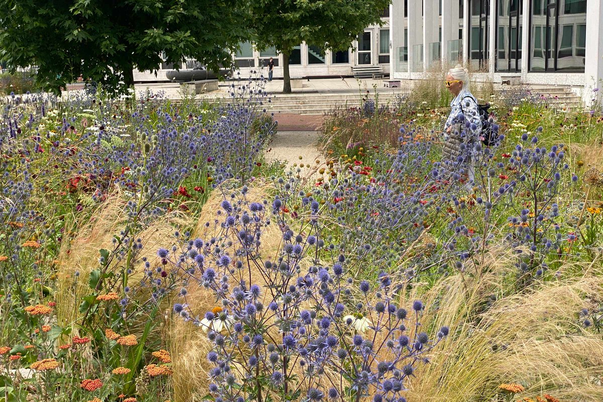 Superbloei takes over the city! <a href="/LOLA_landscape/">LOLA</a>   teamed up with <a href="/arjanboekel/">Arjan Boekel</a> and De #Bloeimeesters to design #Superbloei. A lush temporary #urbangarden that now evolved into a permanent green oasis. 

Client: <a href="/gemeentearnhem/">Gemeente Arnhem</a> <a href="/provgelderland/">Provincie Gelderland</a>  
 
Read more: lola.land/project/superb…