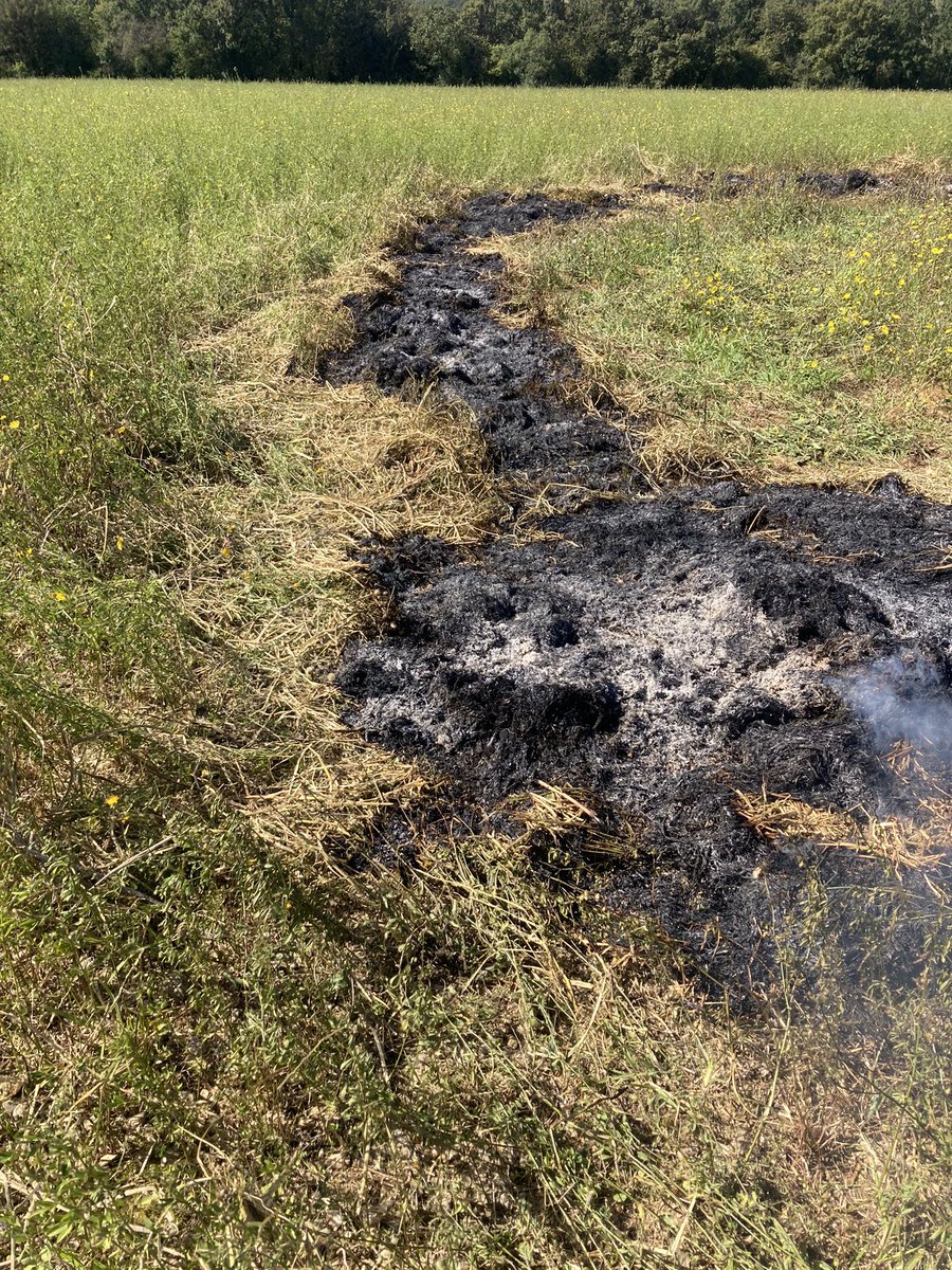 Emmanuel BONNIN tweet media