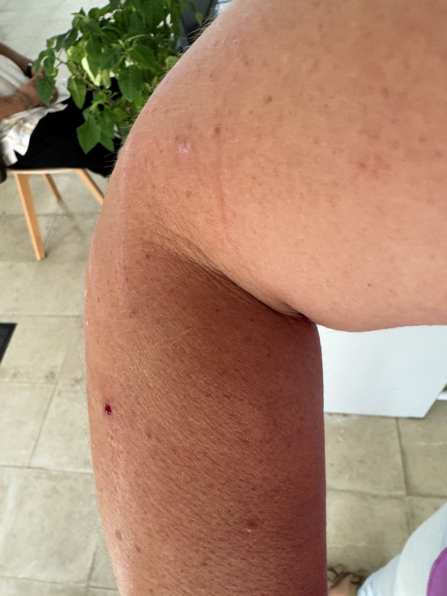 Podria dir que ha sigut es meu moix enfadat, però no, ha sigut un alumne sense un motiu aparent més enllà de que estava enfadat perquè no volia venir a escola. I no, no és justificable, ni acceptable com a docent.