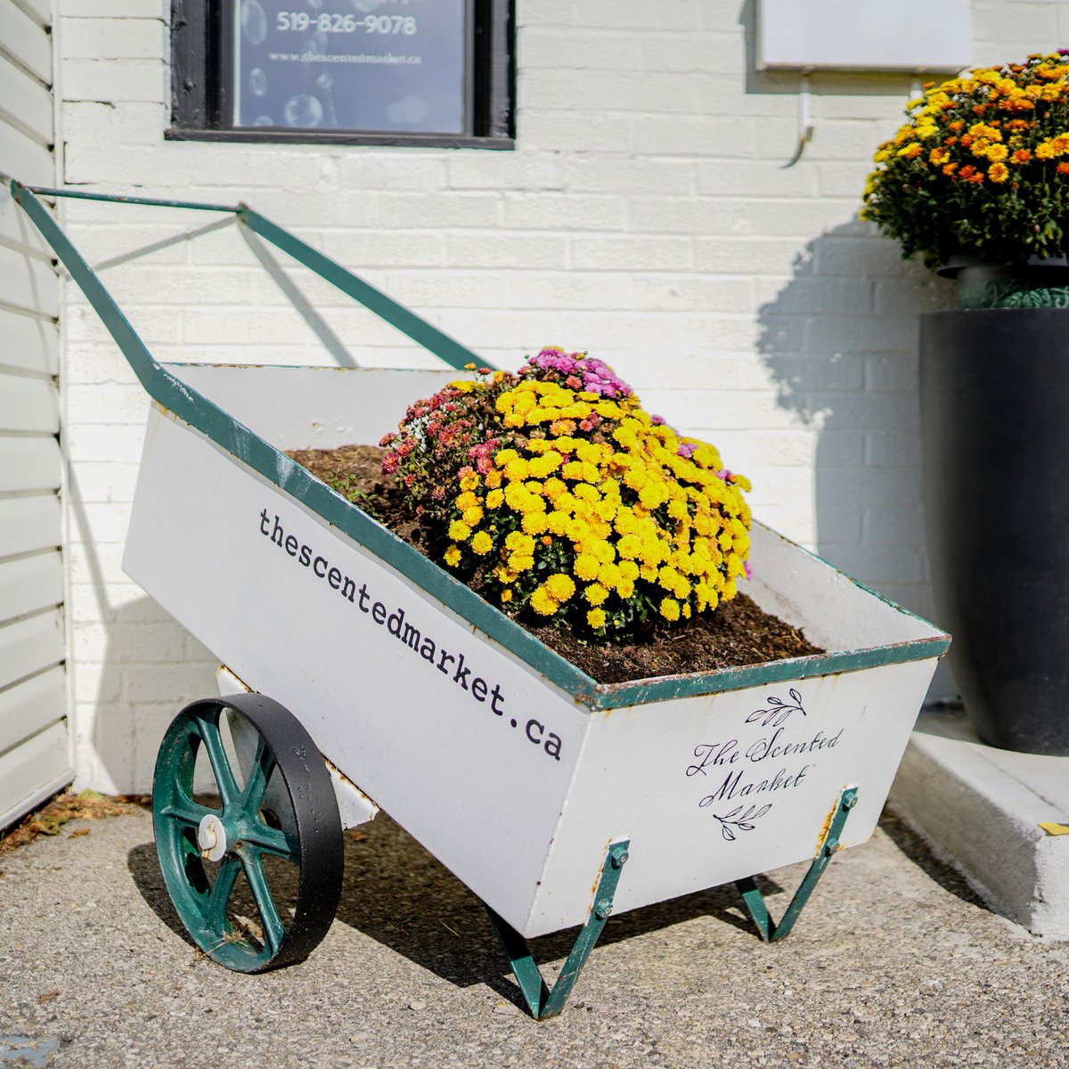 MARKET AT THE MARKET is 1 week away! 🎉 

Join us on Sept. 21 from 10 AM-4 PM at 260 Edinburgh Rd S, Guelph. 

Shop fall gifts, treats like <a href="/BeaverTails/">BeaverTails</a> &amp; more! 

First 25 shoppers get FREE Swag Bags! 🎁 

Plus, don't miss our Silent Auction supporting the Keep Kids Fed Program🌟