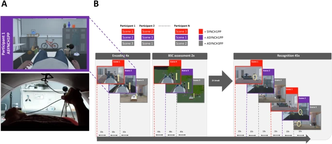 Communications Biology (@commsbio) on Twitter photo This study describes a premotor-hippocampal coupling in episodic memory, revealing how bodily sensory context and in particular, sense of agency of the observer at encoding is neurally reinstated during memory retrieval.
<a href="/OlafBlankeLab/">Blanke Lab</a>, <a href="/nathalie_heidi/">Nathalie Heidi Meyer</a>
doi.org/10.1038/s42003… This study describes a premotor-hippocampal coupling in episodic memory, revealing how bodily sensory context and in particular, sense of agency of the observer at encoding is neurally reinstated during memory retrieval.
<a href="/OlafBlankeLab/">Blanke Lab</a>, <a href="/nathalie_heidi/">Nathalie Heidi Meyer</a>
doi.org/10.1038/s42003…