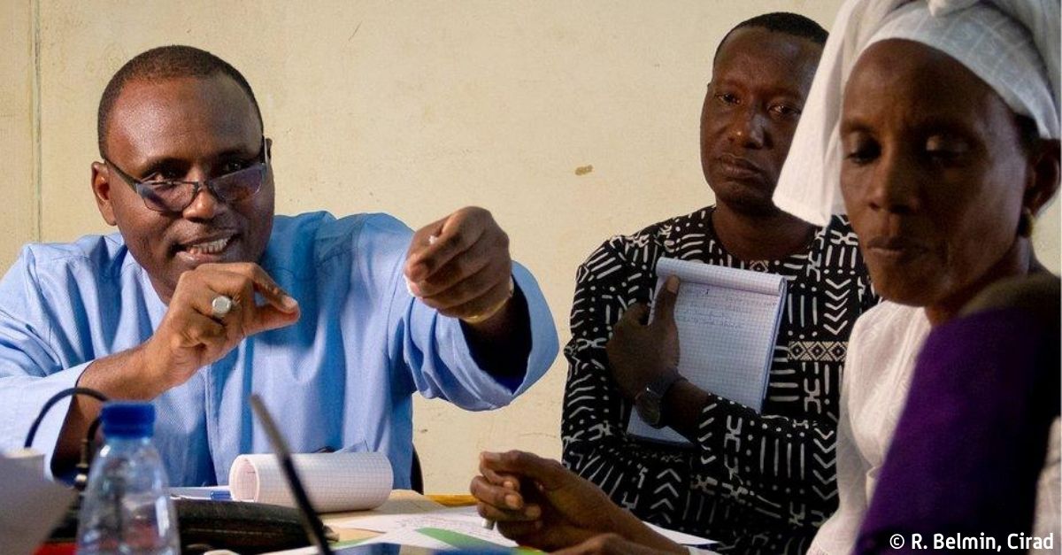 Cirad (@cirad) on Twitter photo Depuis 2006, le #Cirad a mis en place 20 dispositifs de #recherche et #formation en partenariat, réunissant des scientifiques du Sud autour d’un enjeu clé de leur région. 
🤝Ces dispositifs uniques renforcent la #coopération Sud-Sud.
En savoir plus👉cirad.fr/les-actualites… Depuis 2006, le #Cirad a mis en place 20 dispositifs de #recherche et #formation en partenariat, réunissant des scientifiques du Sud autour d’un enjeu clé de leur région. 
🤝Ces dispositifs uniques renforcent la #coopération Sud-Sud.
En savoir plus👉cirad.fr/les-actualites…