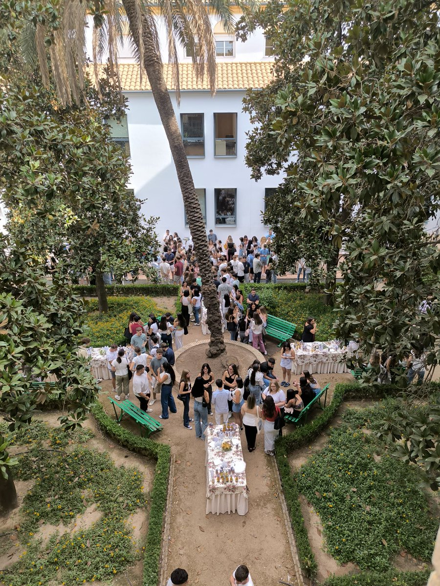 Derecho y CCEE y EE tweet media