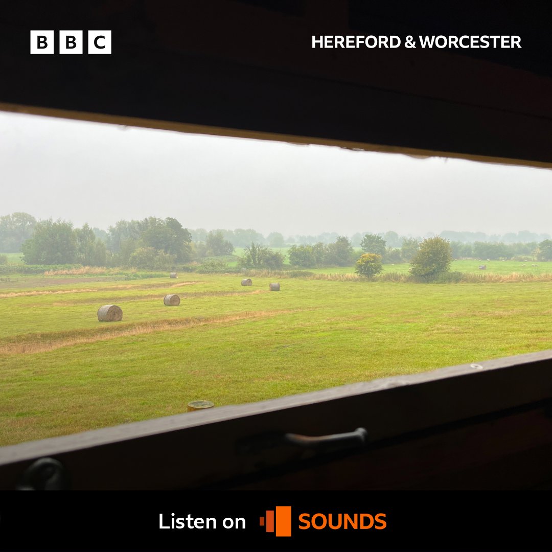 bbchw's tweet photo. Take a tour around the newest nature reserve in #Herefordhire 🌸
Oak Tree Farm has a bird hide, walking trails, and a series of pools for wetland wildlife. Listen here 👇
https://t.co/y78aBtZpwu
#OakTreeFarm #HerefordshireWildlifeTrust @HerefordshireWT https://t.co/dhy1mLnIld