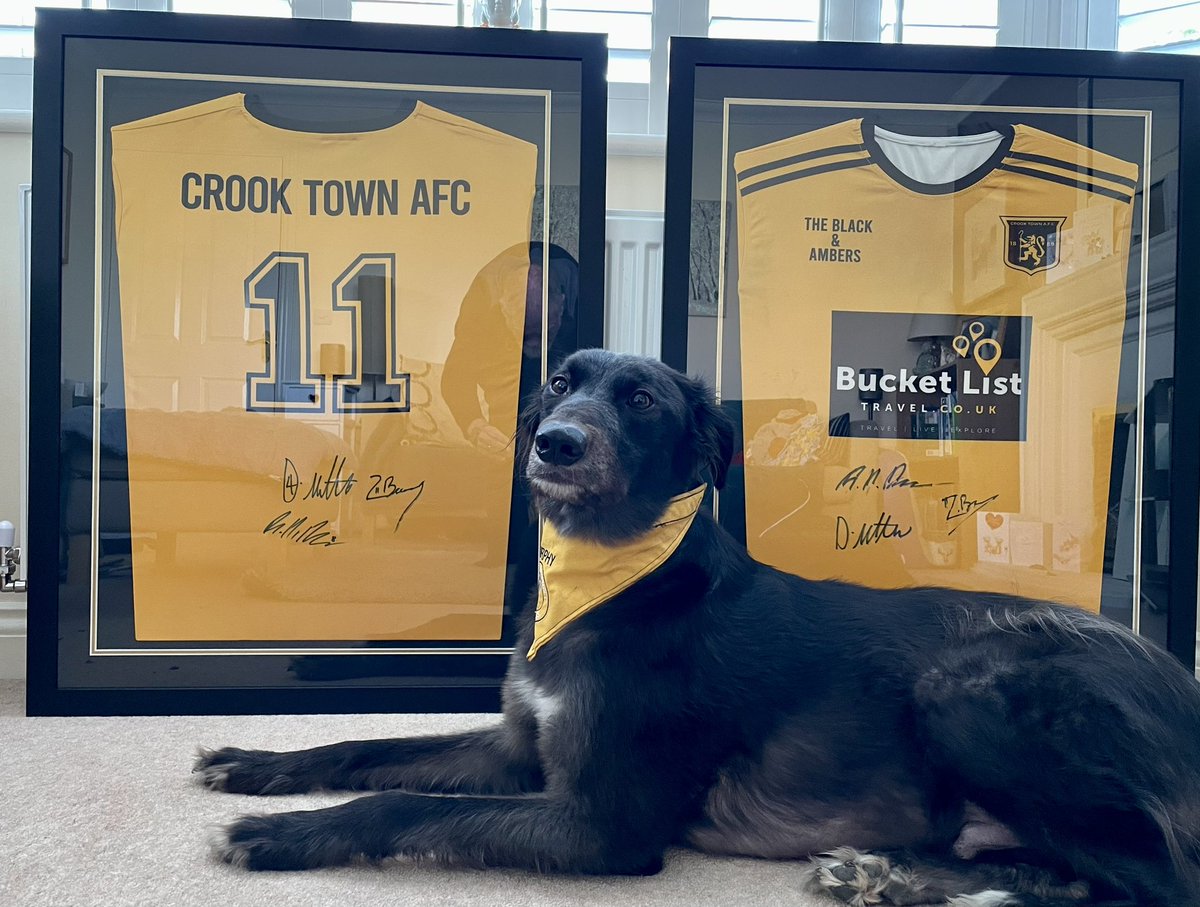 MillfieldMurphy's tweet photo. The shirts I won at the talk-in silent auction are back from the framers and look great - now to find the right spot to hang them https://t.co/k6Ab36JnPx