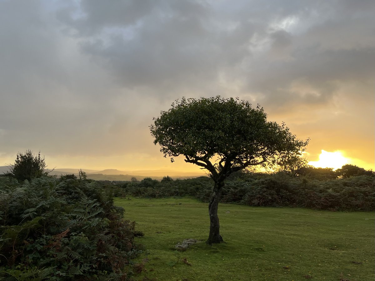 Ben Jameson @inclusiongp.bsky.social tweet media