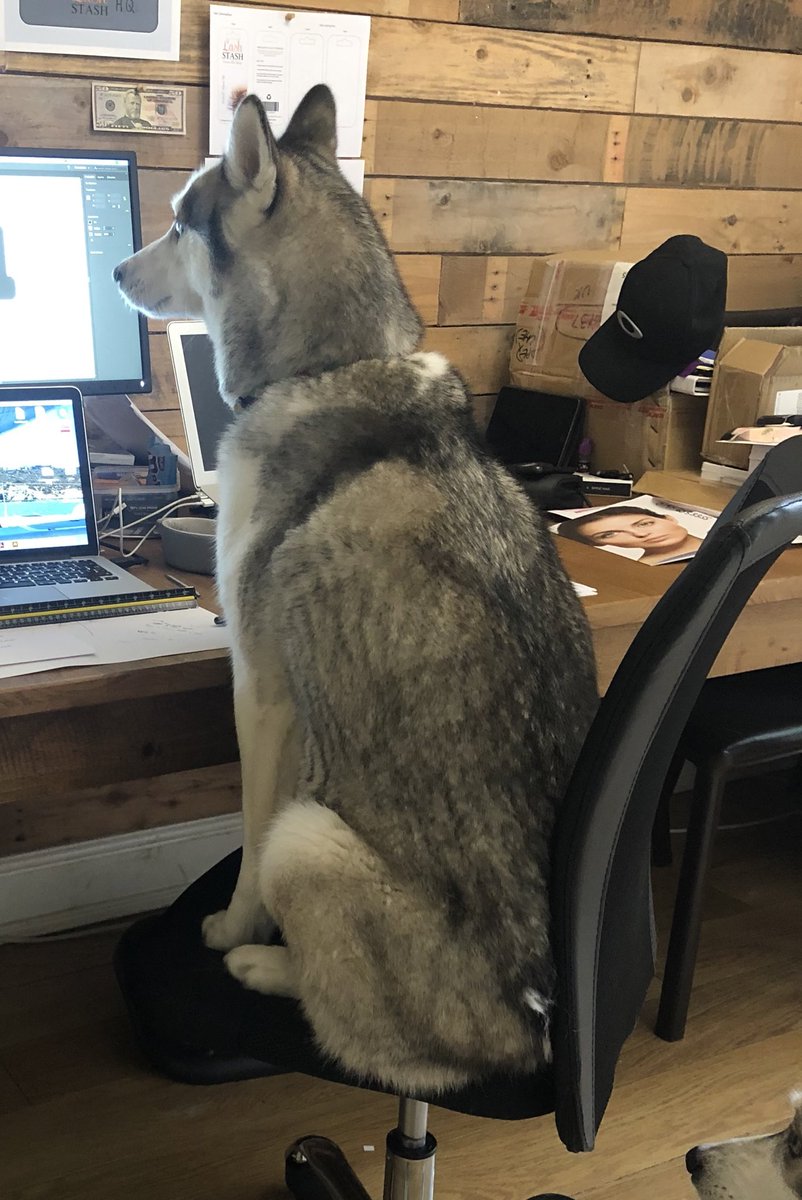 TheMadQueenEth's tweet photo. Gm 😎 

Teaching her to read charts 📈 

She said go all in on $doge 

So I did 🙈 

#NHFA DYOR https://t.co/VDfZ8PpfHu