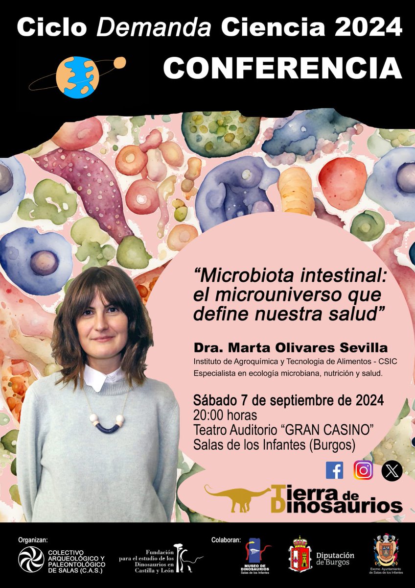 FundaciónDinosaurios tweet media