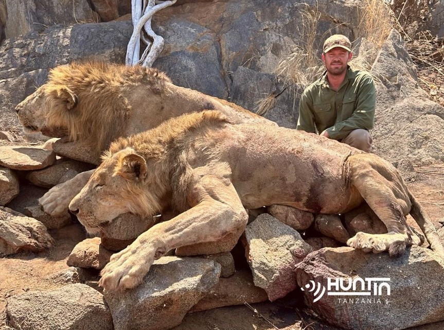 Protect_Wldlife's tweet photo. Trophy Hunters: Putting The Con In Conservation.
"HUNTin Tanzania, it’s been a “herding cats” kind of a week!" ~ PH of Div Hunting.
Absolutely senseless killing of two beautiful Lions in their prime!! 🤬
#EndTrophyHunting NOW!
@PeterEgan6