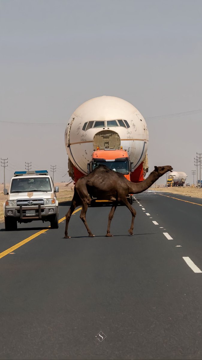o0q69's tweet photo. وسائل النقل عبر الزمن في صوره 
( الناقه -السياره - الطياره )

أصالتنا وحضارتنا دام عزك يا وطن  🤍🐪🇸🇦
@Turki_alalshikh https://t.co/2gCJfyWlRc