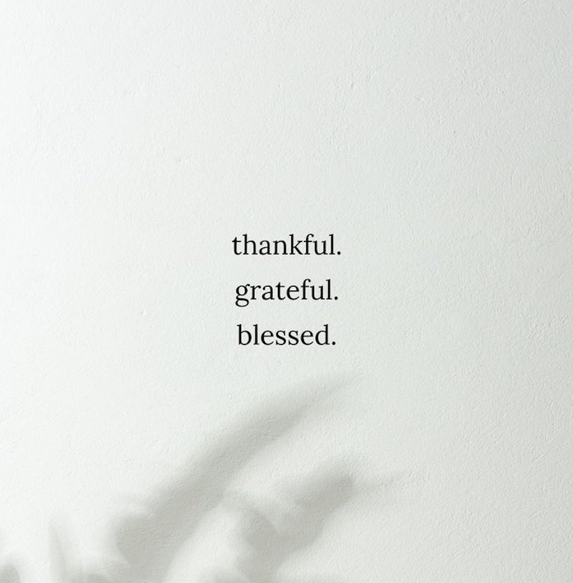 OfficialPLT's tweet image. Forever💖