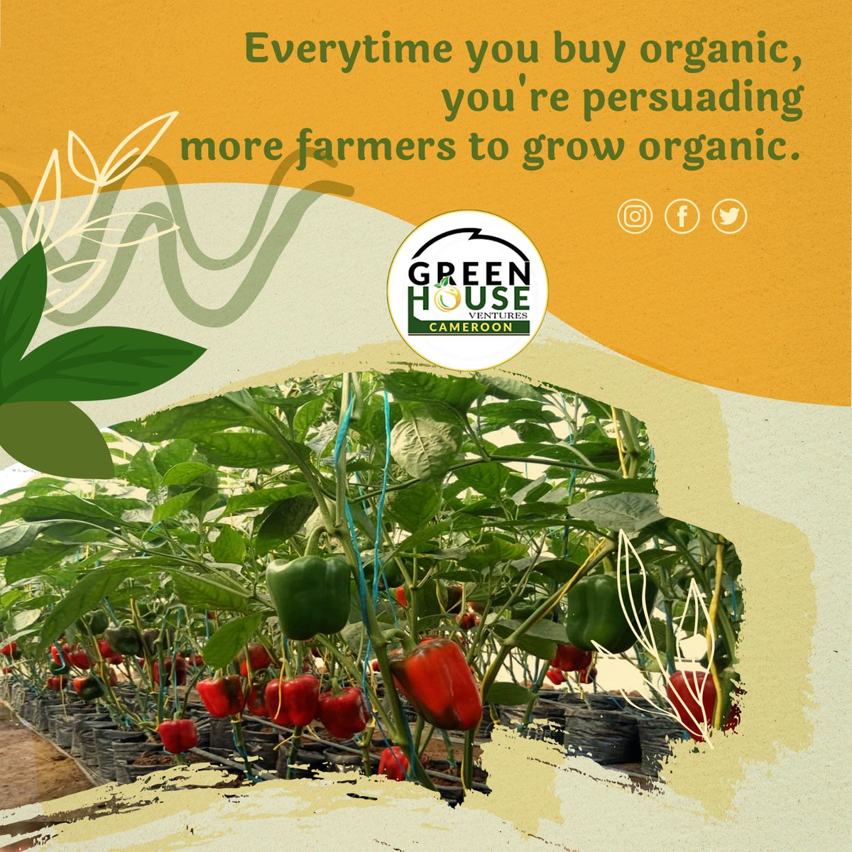 Make the right choices for your health. 

#healthylifestyle #healthylifestyle 
#greenhouse
