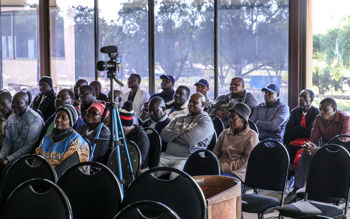 Gift Ostallos Siziba tweet media