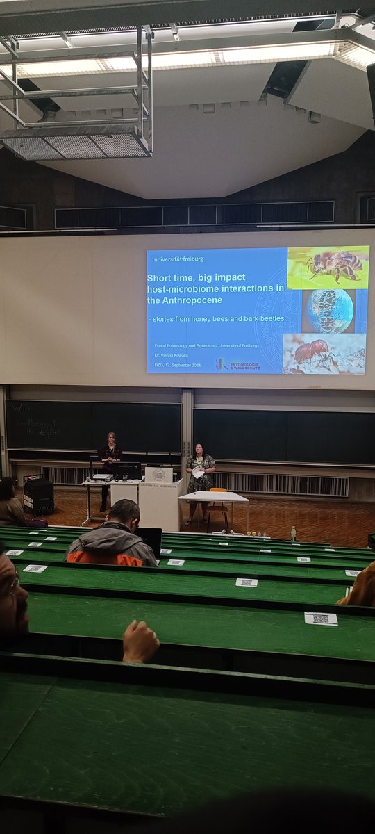 Alexandra Mir Davood Bernal tweet media