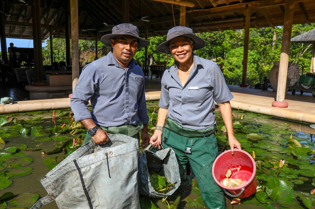 DataiLangkawi's tweet photo. The premiere of Amazing Hotels: Life Beyond The Lobby is today on @BBCiPlayer! Tune in to watch the entire series or view The Datai Langkawi episode on 10 Oct, 20:00 BST on @BBCTwo.
⁠
#TheDataiLangkawi #DiscoverDatai #AmazingHotelsLifeBeyondTheLobby https://t.co/Nax6YjM7HO