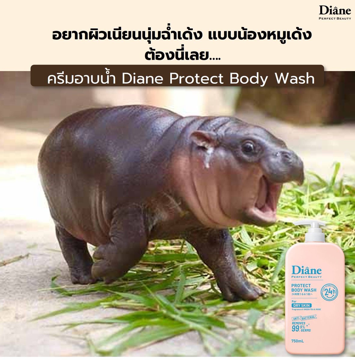 ตัวช่วยที่จะช่วยให้คุณผิวเนียนนุ่มชุ่มชื้นฉ่ำเด้งเหมือนน้องหมูเด้ง กับ Diane Protect Body Wash 🛁

ครีมอาบน้ำที่ช่วยกักเก็บความชุ่มชื้น พร้อมลดการสะสมของแบคทีเรีย กลิ่นหอมติดทนยาวนาน
#Diane #DianeProtectBodyWash #ผิวนุ่มชุ่มชื้นพร้อมปกป้อง