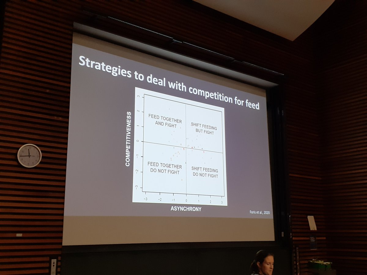 DZG section Behavioural Biology tweet media