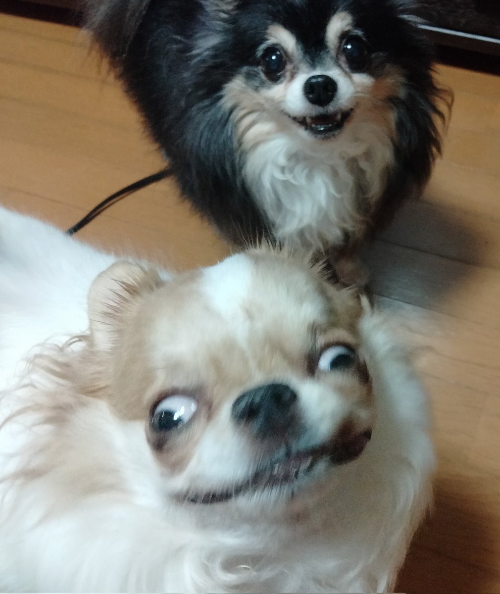 初めて見る表情…
笑顔…なのか💦
玉）に゛み゛！