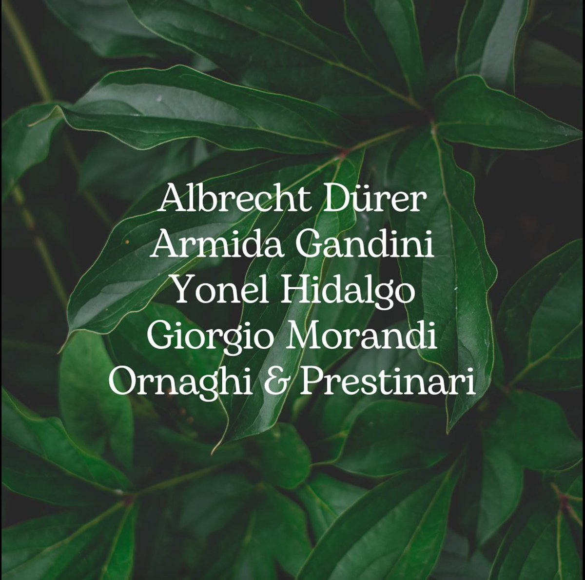 adenza's tweet photo. The Garden��s Heart • 28 settembre/6 ottobre • una mostra • 16 artisti • piazza dell’Indipendenza 27• Firenze
#thegardensheart #artecontemporanea #mostra #artisti
#autunno2024 #biaf #firenze #siamofuoridiBiennale https://t.co/udN7hdFO3g