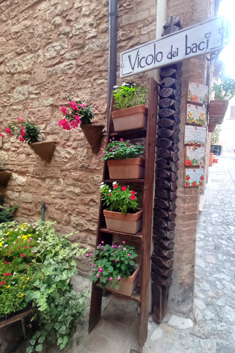bluesearainbow's tweet photo. #Spello #Umbria https://t.co/CXZW8ilIfb