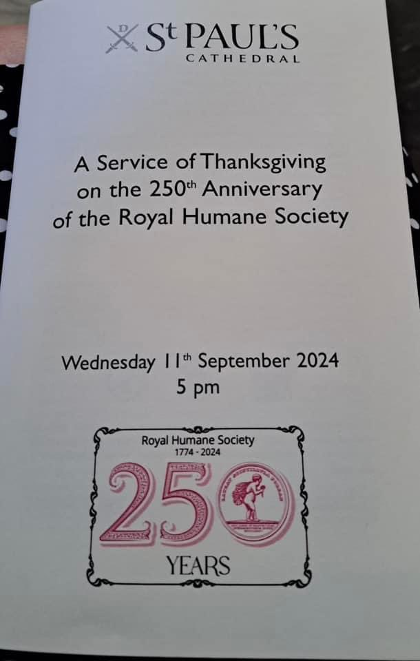 Jenny Makepeace tweet media