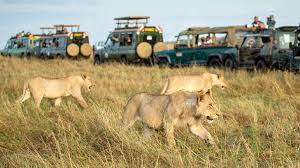 kayta_tours's tweet photo. Let Kayta Tours and Travel handle all the details, so you can focus on the adventure. Our service is designed to make your journey seamless and unforgettable. 

 #KaytaExperience #ExceptionalService #maandamano sim 2 jogoo road #occupyjkia https://t.co/1fDuC0a6H5