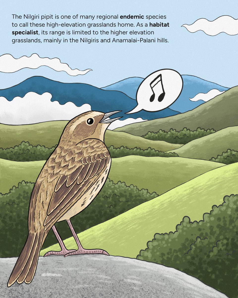 WCS-India tweet media