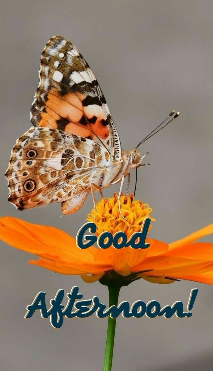 💞꧁༒☬ᎮᏒᎪᎠᎬᎬᎮ☬༒ ꧂❣️ tweet media