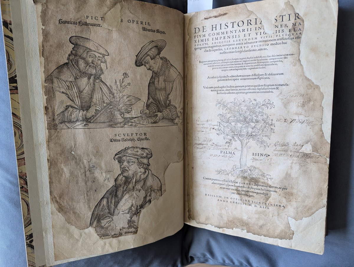 Simon Hart (@si_hart) on Twitter photo The oldest book in our library collection at <a href="/RHSWisley/">RHS Garden Wisley</a> Die historian stirpium by Leonard Fuchs. Published in 1542! One of the first books about plants to have art and
plant observations in the wild. The oldest book in our library collection at <a href="/RHSWisley/">RHS Garden Wisley</a> Die historian stirpium by Leonard Fuchs. Published in 1542! One of the first books about plants to have art and
plant observations in the wild.