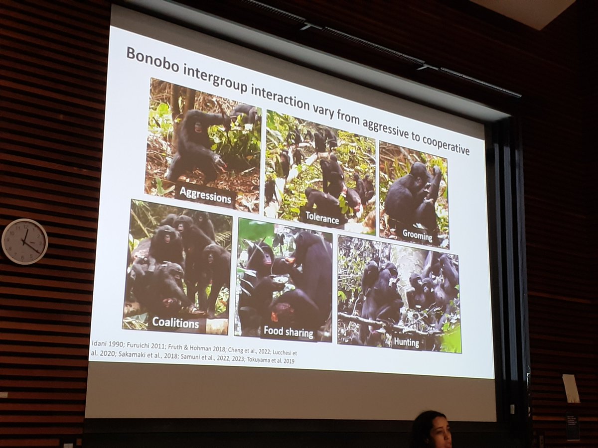 DZG section Behavioural Biology tweet media