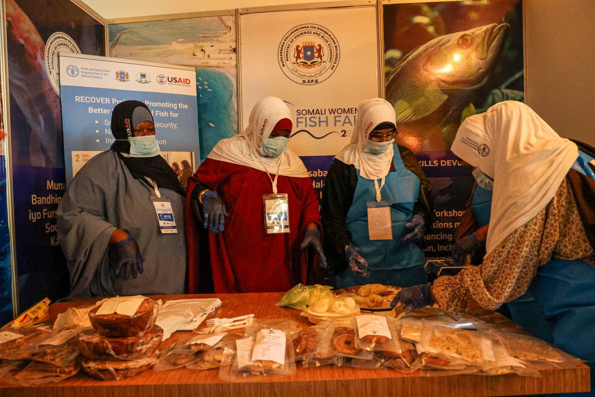 Great to see the amazing value-added fish products showcased by women-led groups supported under #RECOVER at the <a href="/MFBESomalia/">Wasaaradda Kalluumeysiga iyo Dhaqaalaha Buluugga.</a> &amp; #IRiS women's fish fair! 
Value addition is key to boosting Somalia's fish economy and reducing post-harvest losses. 🐟💰 
#FishValueChain #Somalia