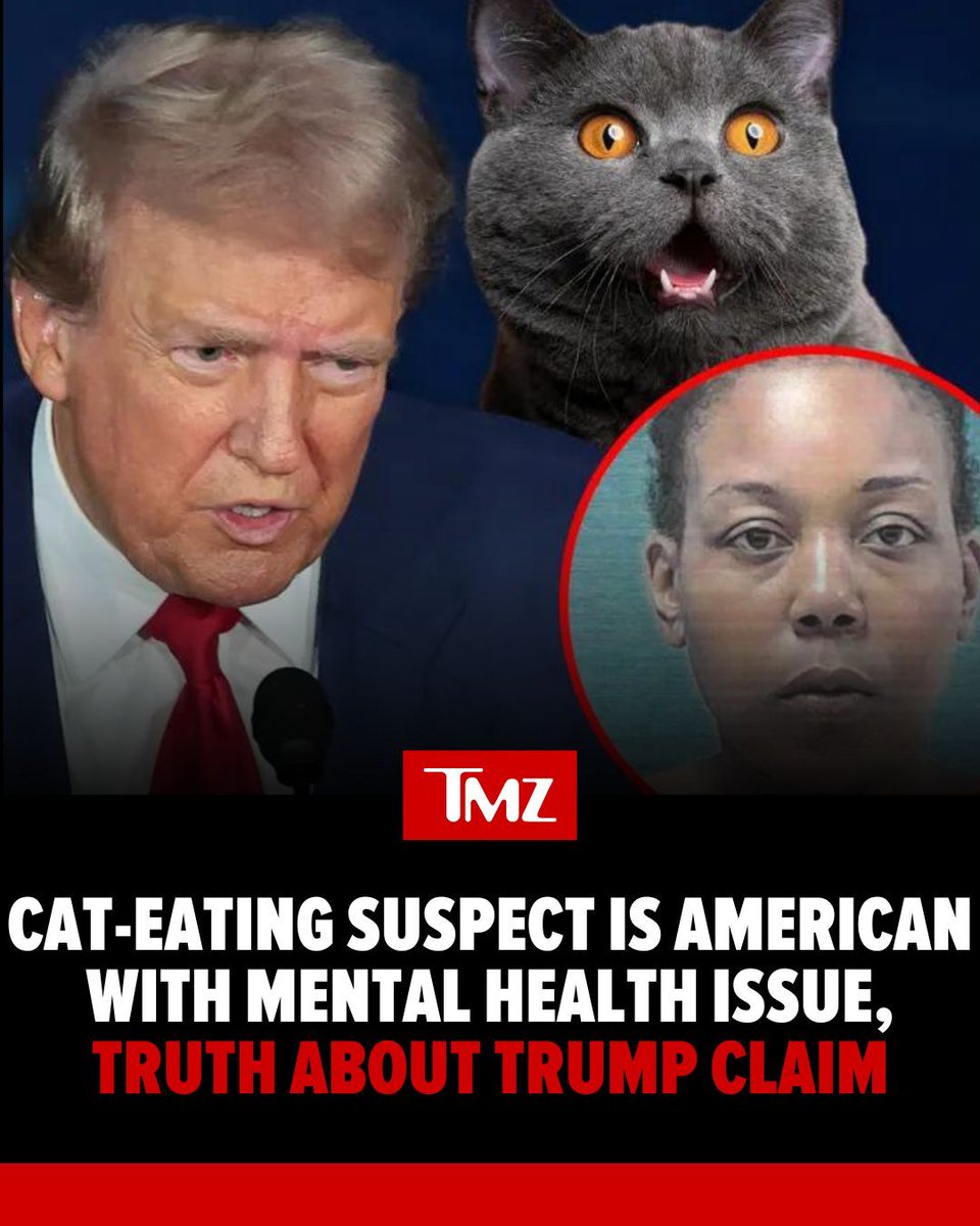 TMZ's tweet photo. ICYMI: #DonaldTrump amplified one standout, insane conspiracy theory during Tuesday night's #presidentialdebate, but now the cat is out of the bag and the facts don't support his claims.🐈👜

Watch the video: https://t.co/4gc4GYsU24 https://t.co/9v9sErWc5X
