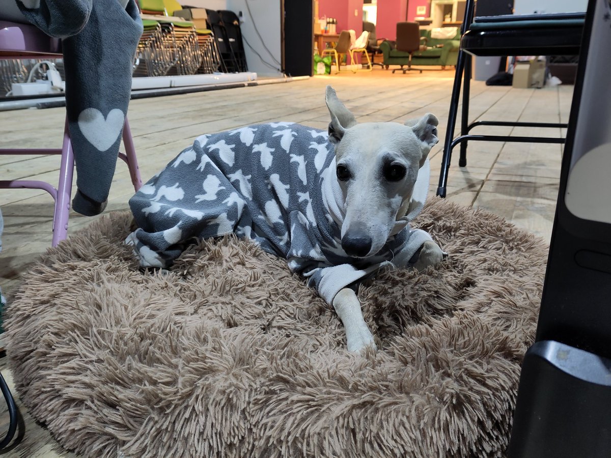 WhiteWallShow's tweet image. Our #assistantdirector is watching rehearsals with a keen eye.

'Staring at a White Wall' #whitewallshow #newwriting

@ace_national #nationallottery30 

@rgadsbydirector 
@mariakayum 
@Montgomery_G_ 
@LucyLitchfield 
@LSHelbig