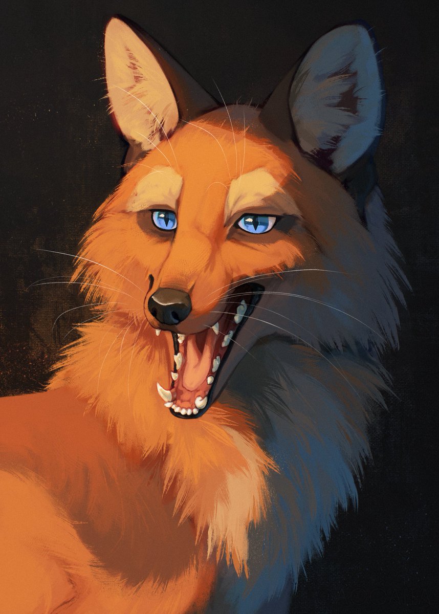 arts me made

#accaliaart